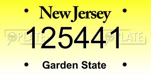 125441 New Jersey License Plate