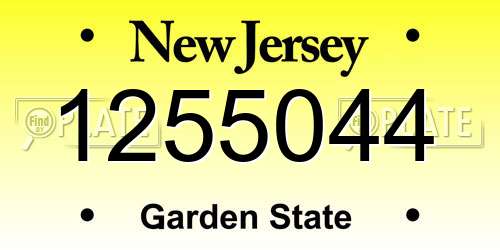 1255044 New Jersey License Plate