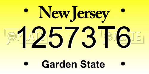 12573T6 New Jersey License Plate