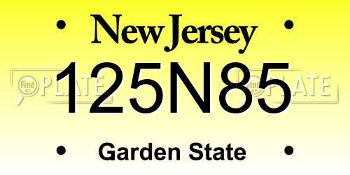 125N85 New Jersey License Plate