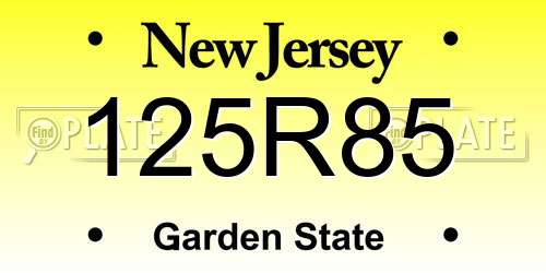 125R85 New Jersey License Plate