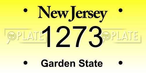 1273 New Jersey License Plate