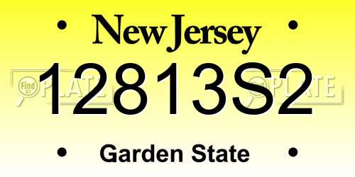 12813S2 New Jersey License Plate