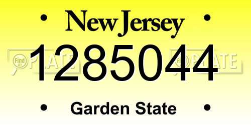 1285044 New Jersey License Plate