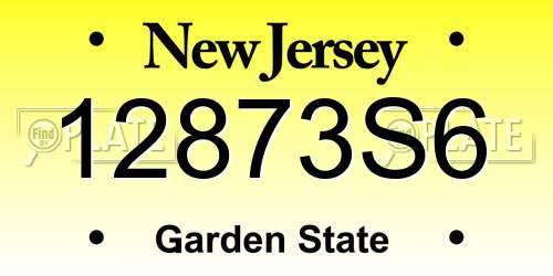12873S6 New Jersey License Plate