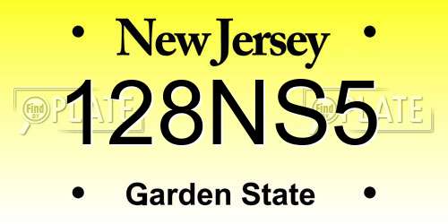 128NS5 New Jersey License Plate