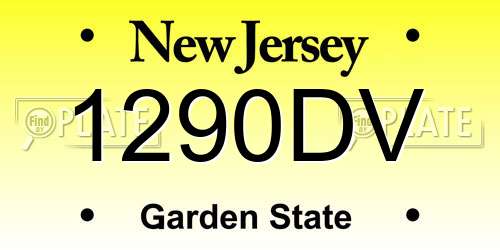 1290DV New Jersey License Plate