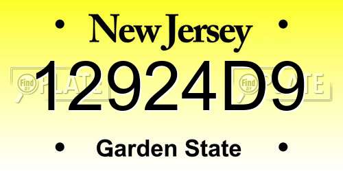12924D9 New Jersey License Plate