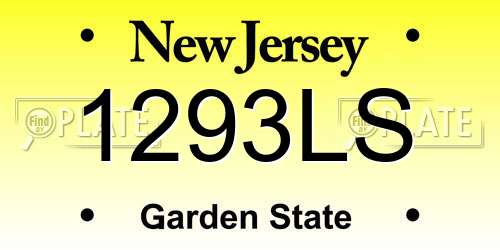 1293LS New Jersey License Plate