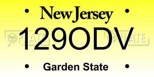 129ODV New Jersey License Plate