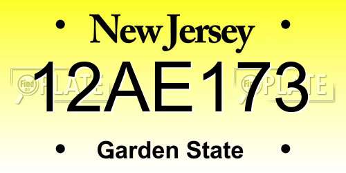 12AE173 New Jersey License Plate