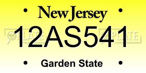 12AS541 New Jersey License Plate
