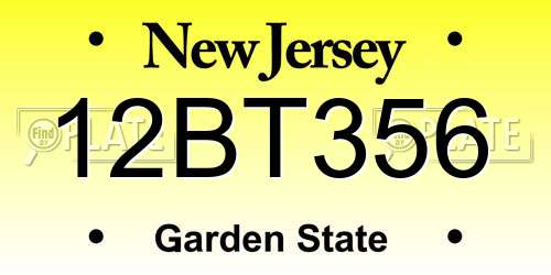 12BT356 New Jersey License Plate