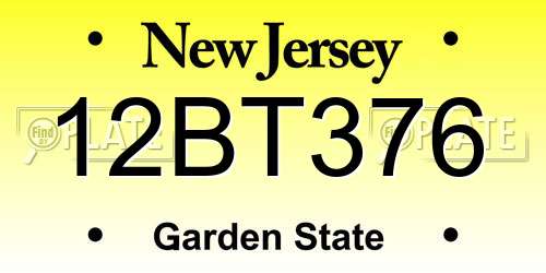 12BT376 New Jersey License Plate