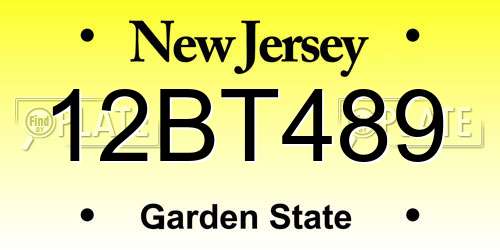 12BT489 New Jersey License Plate