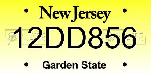 12DD856 New Jersey License Plate