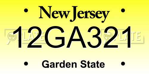 12GA321 New Jersey License Plate