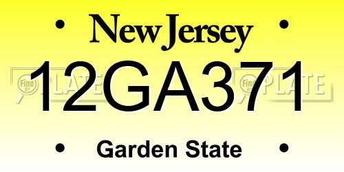 12GA371 New Jersey License Plate