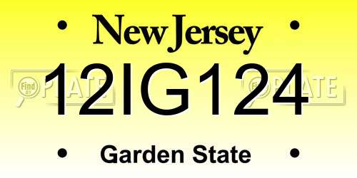 12IG124 New Jersey License Plate
