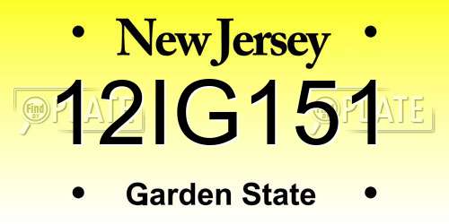 12IG151 New Jersey License Plate