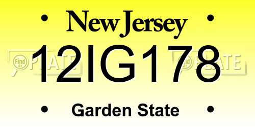 12IG178 New Jersey License Plate