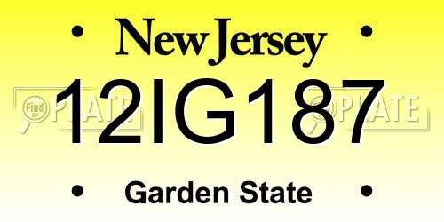 12IG187 New Jersey License Plate