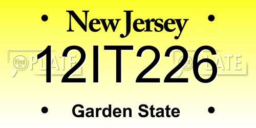 12IT226 New Jersey License Plate