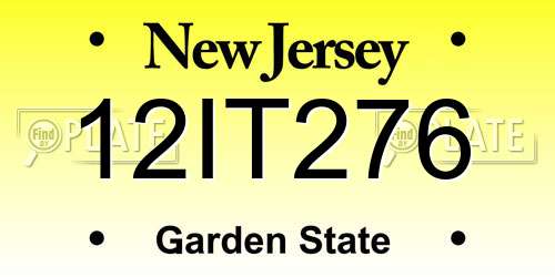 12IT276 New Jersey License Plate