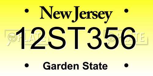 12ST356 New Jersey License Plate