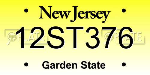 12ST376 New Jersey License Plate