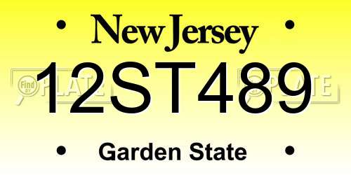 12ST489 New Jersey License Plate