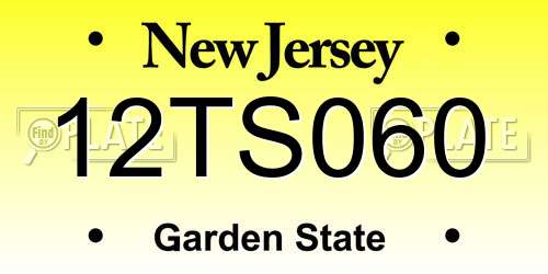 12TS060 New Jersey License Plate