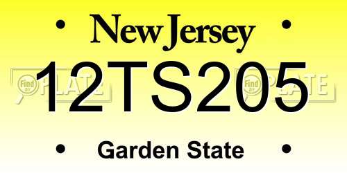 12TS205 New Jersey License Plate