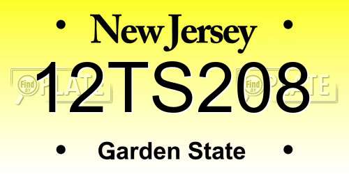 12TS208 New Jersey License Plate