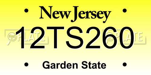12TS260 New Jersey License Plate