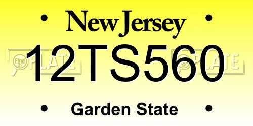 12TS560 New Jersey License Plate