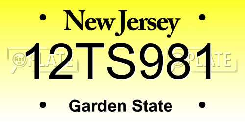 12TS981 New Jersey License Plate