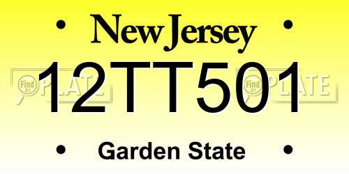 12TT501 New Jersey License Plate