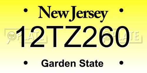 12TZ260 New Jersey License Plate