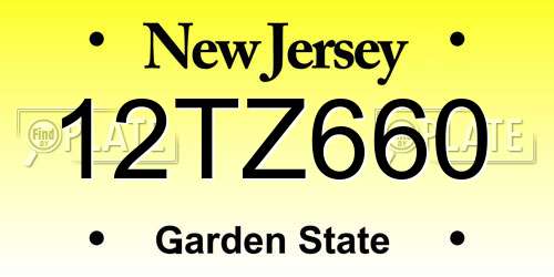 12TZ660 New Jersey License Plate