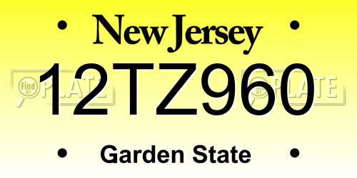 12TZ960 New Jersey License Plate