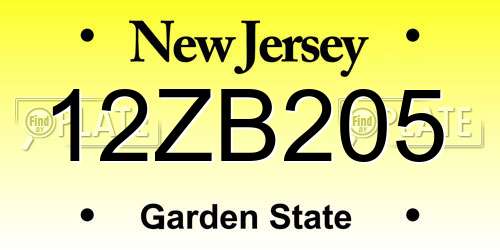 12ZB205 New Jersey License Plate