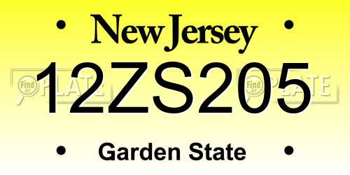 12ZS205 New Jersey License Plate