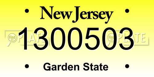 1300503 New Jersey License Plate