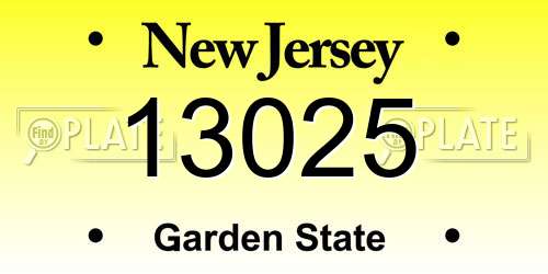 13025 New Jersey License Plate
