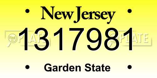 1317981 New Jersey License Plate