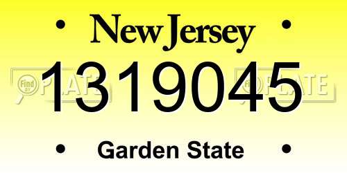 1319045 New Jersey License Plate