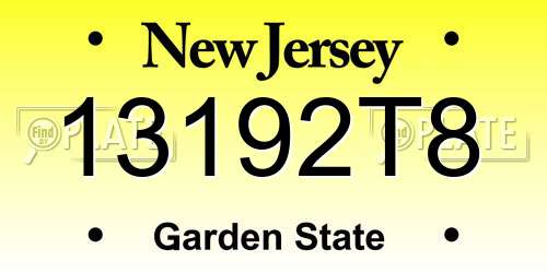 13192T8 New Jersey License Plate