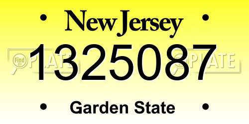 1325087 New Jersey License Plate