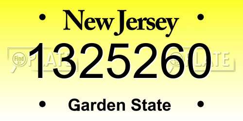 1325260 New Jersey License Plate